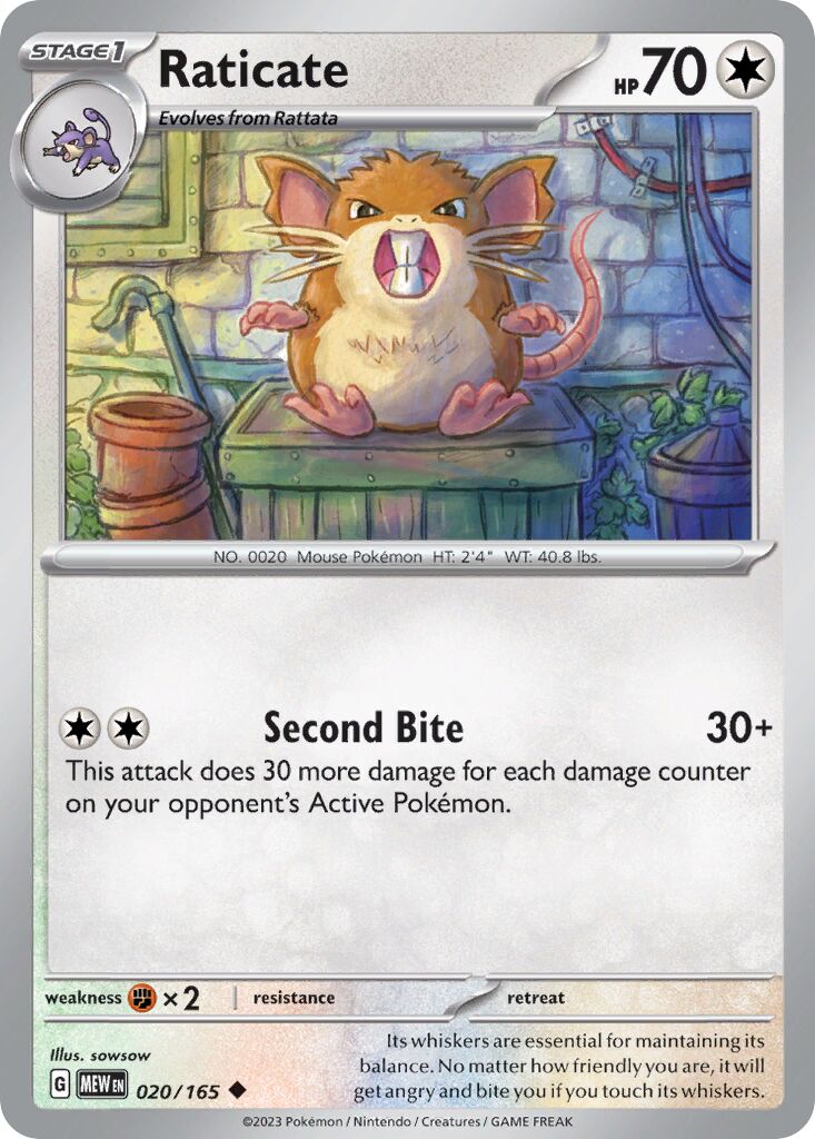 Raticate 020/165