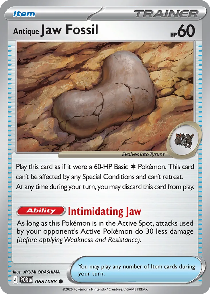 068/088 Antique Jaw Fossil