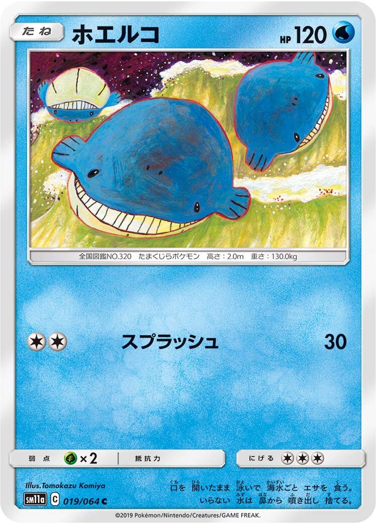 Wailmer 019/064