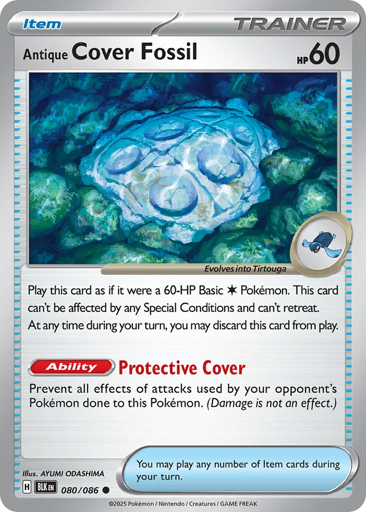 080/086	Antique Cover Fossil