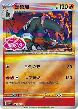 0506/07 Houndoom (CN)