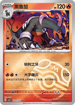0505/07 Houndoom (CN)