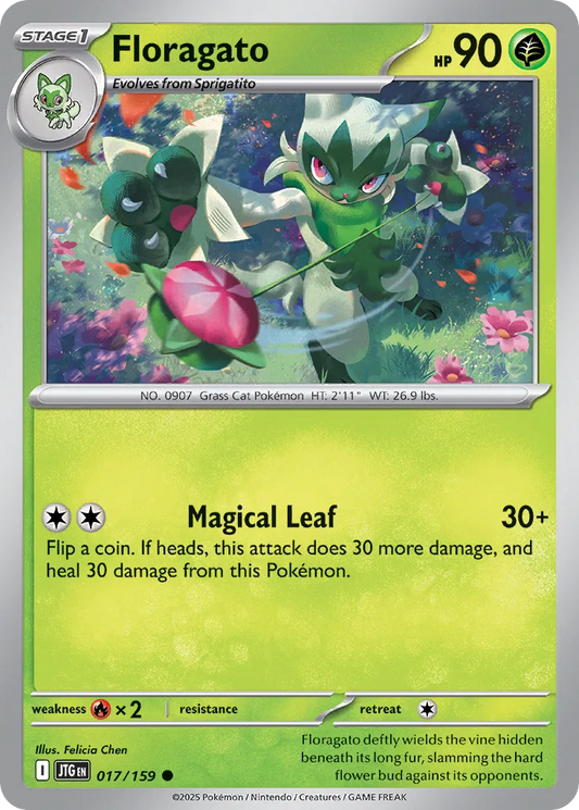 017/159 Floragato