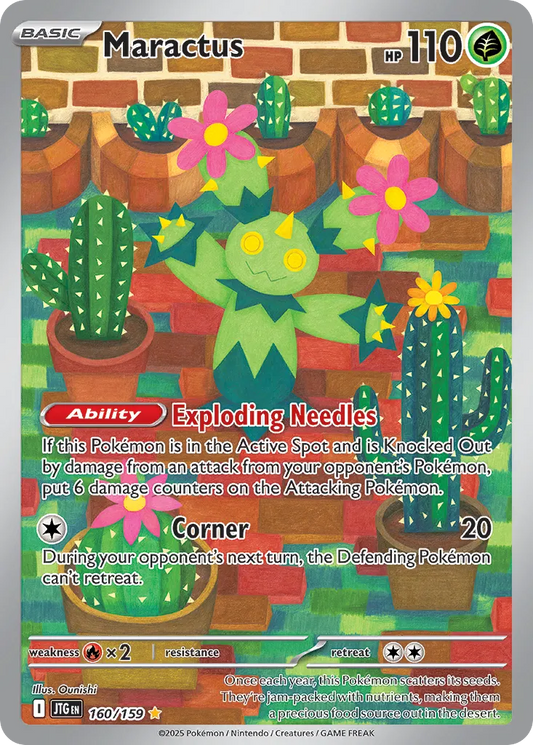 160/159 Maractus