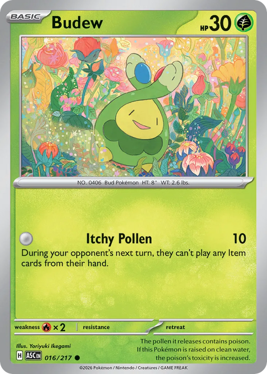 016/217 Budew