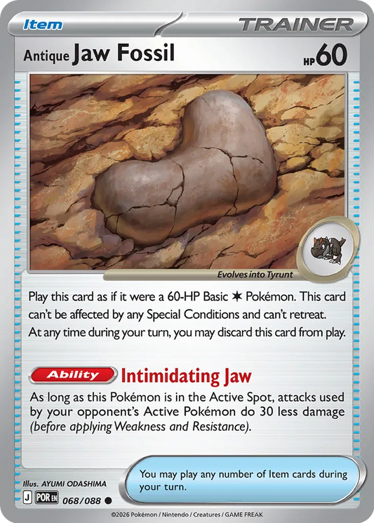 068/088 Antique Jaw Fossil