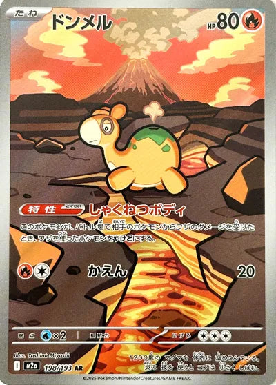 Numel 198/193