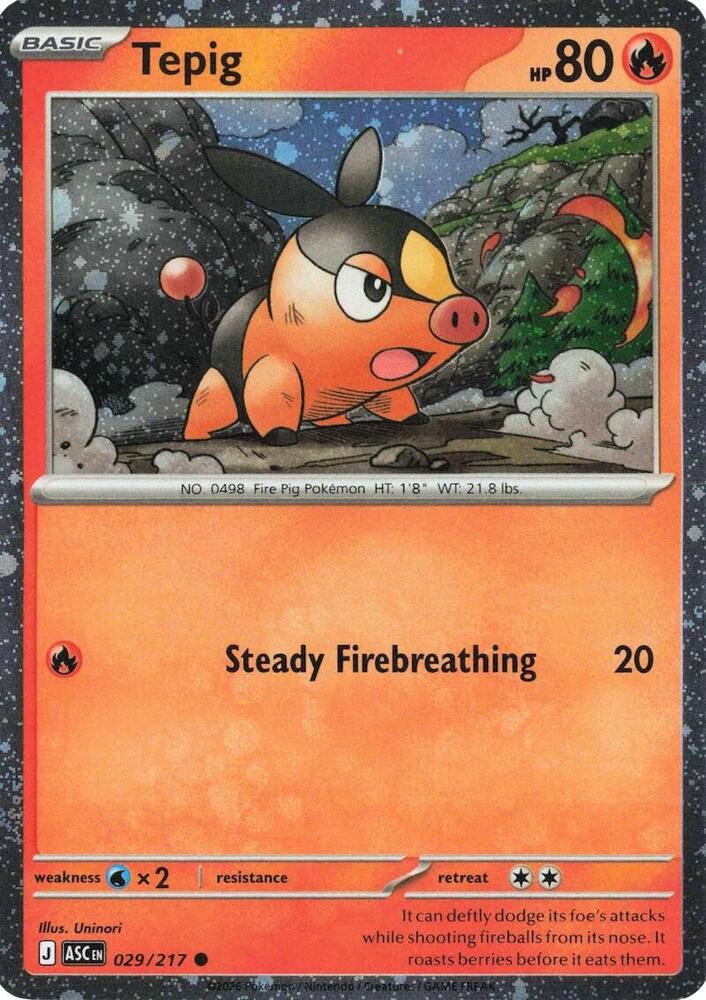 Tepig 029/217 Cosmo Holo