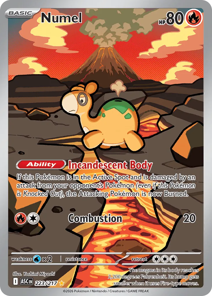 223/217 Numel