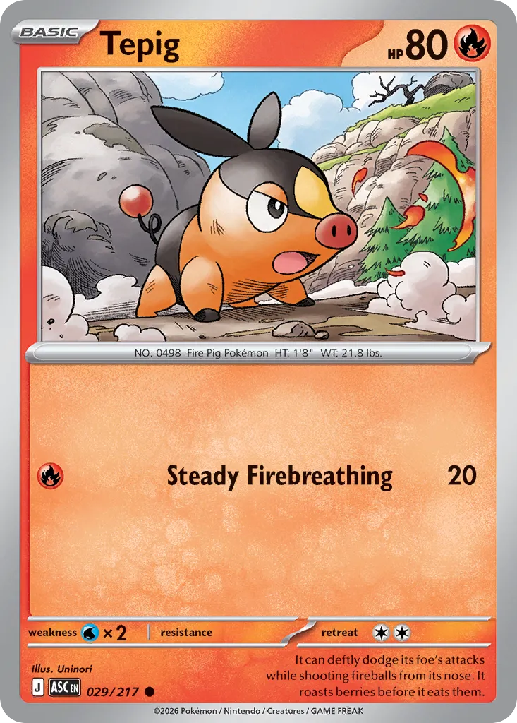 029/217 Tepig