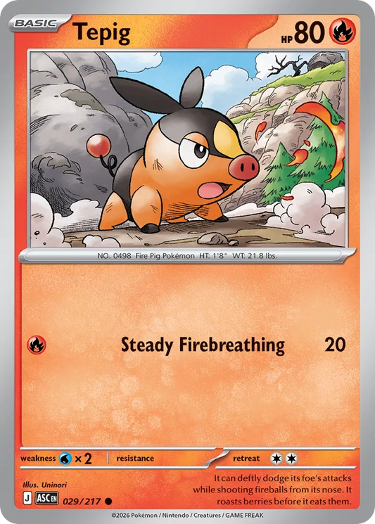 029/217 Tepig