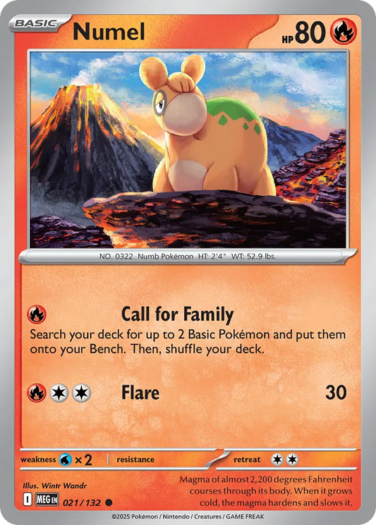 Numel 021/132