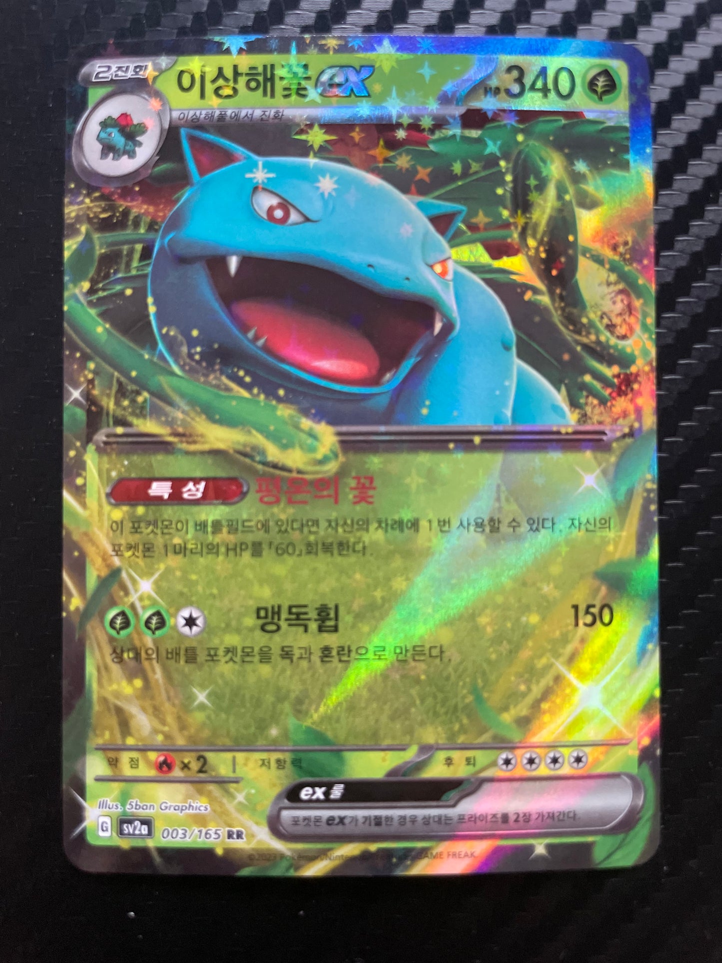 Venusaur ex 003/165 (Koreansk)