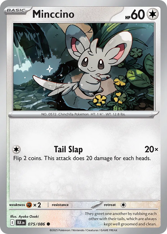 075/086	Minccino